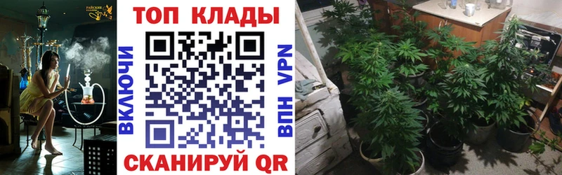Купить закладку Псилоцибиновые грибы Мефедрон ГАШ Бошки Шишки Кокаин Смоленск