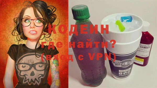 дмт Лабытнанги
