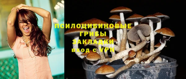 дмт Лабытнанги